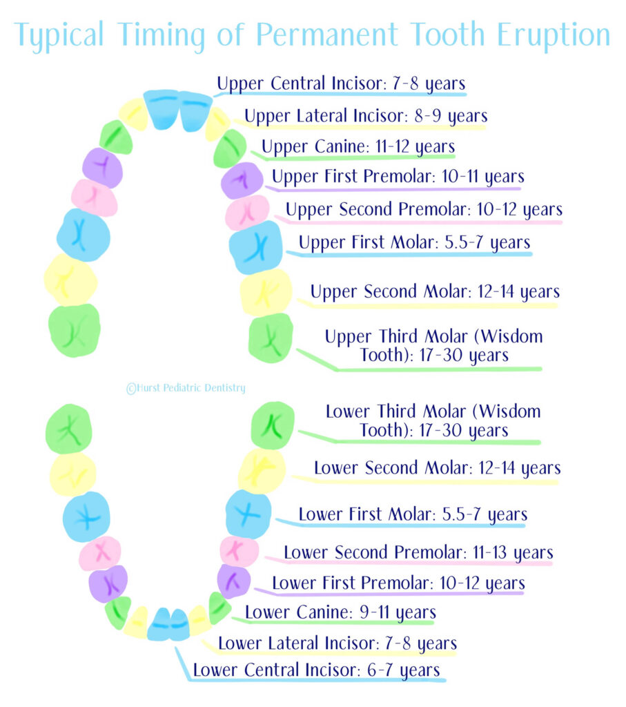 Teething (Teething Syndrome): Symptoms & Tooth Eruption Chart